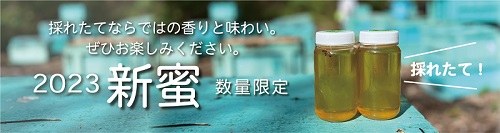 雅蜂園 国産はちみつ新蜜