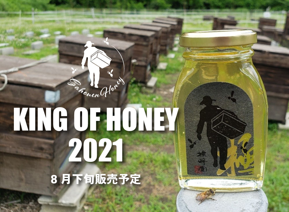 国産はちみつ極み2021